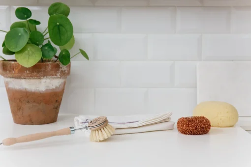 Andree Jardin Traditional Wooden Washing Up Brush Replacement Head