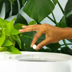 Lomi Microbe Pods