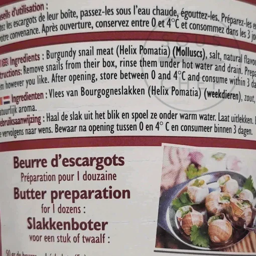 Sabarot Extra Large Burgundy Snails