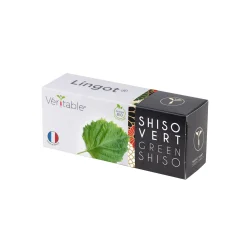 Veritable Asian Lingot Insert, Organic Green Shiso