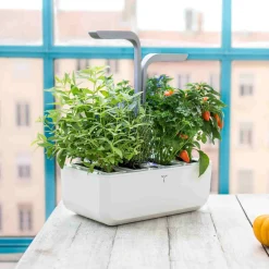 Veritable Classic Indoor Herb Garden