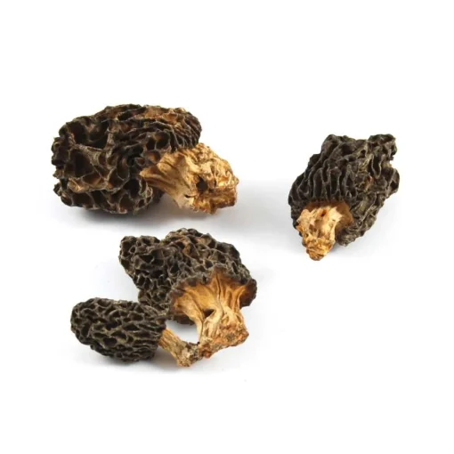 Wild Morel Mushrooms, 30g