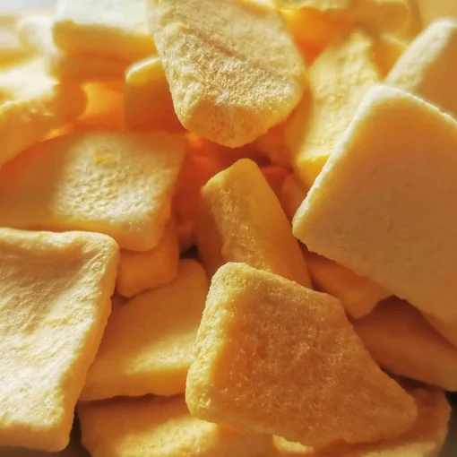 ZingyZoo Freeze Dried Mango Pieces, 100g